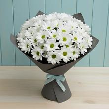 Букет цветов из:  Хризантемы #REPLACE_PRED# Белеве