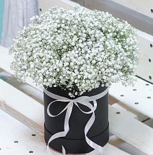 Цветочная композиция из Гипсофила в шляпной коробке #REPLACE_PRED# Белеве