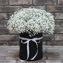 Цветочная композиция из Гипсофила в шляпной коробке #REPLACE_PRED# Белеве
