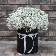 Цветочная композиция из Гипсофила в шляпной коробке в Белеве