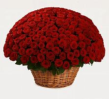 Премиум букет из: Розы в Белеве